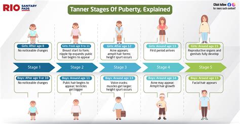 teen boob|Stages of Puberty Explained in Pictures